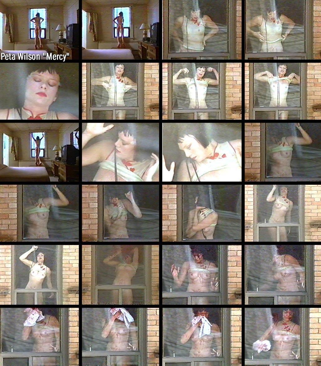 Пета Уилсон плейбой 2004