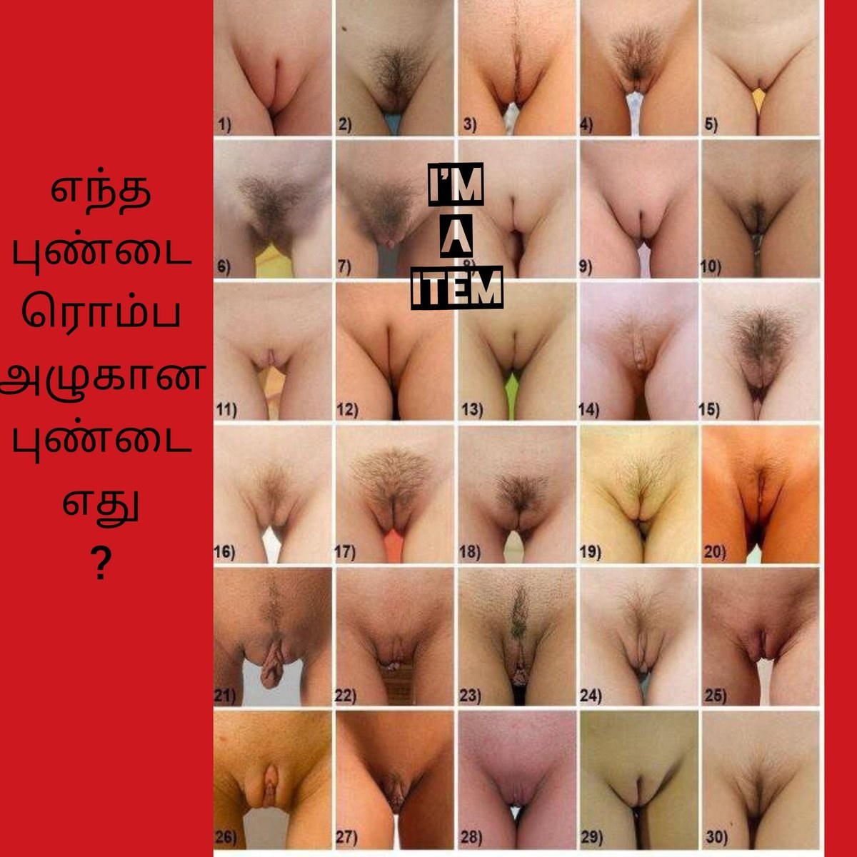 Расположение вагины у женщин