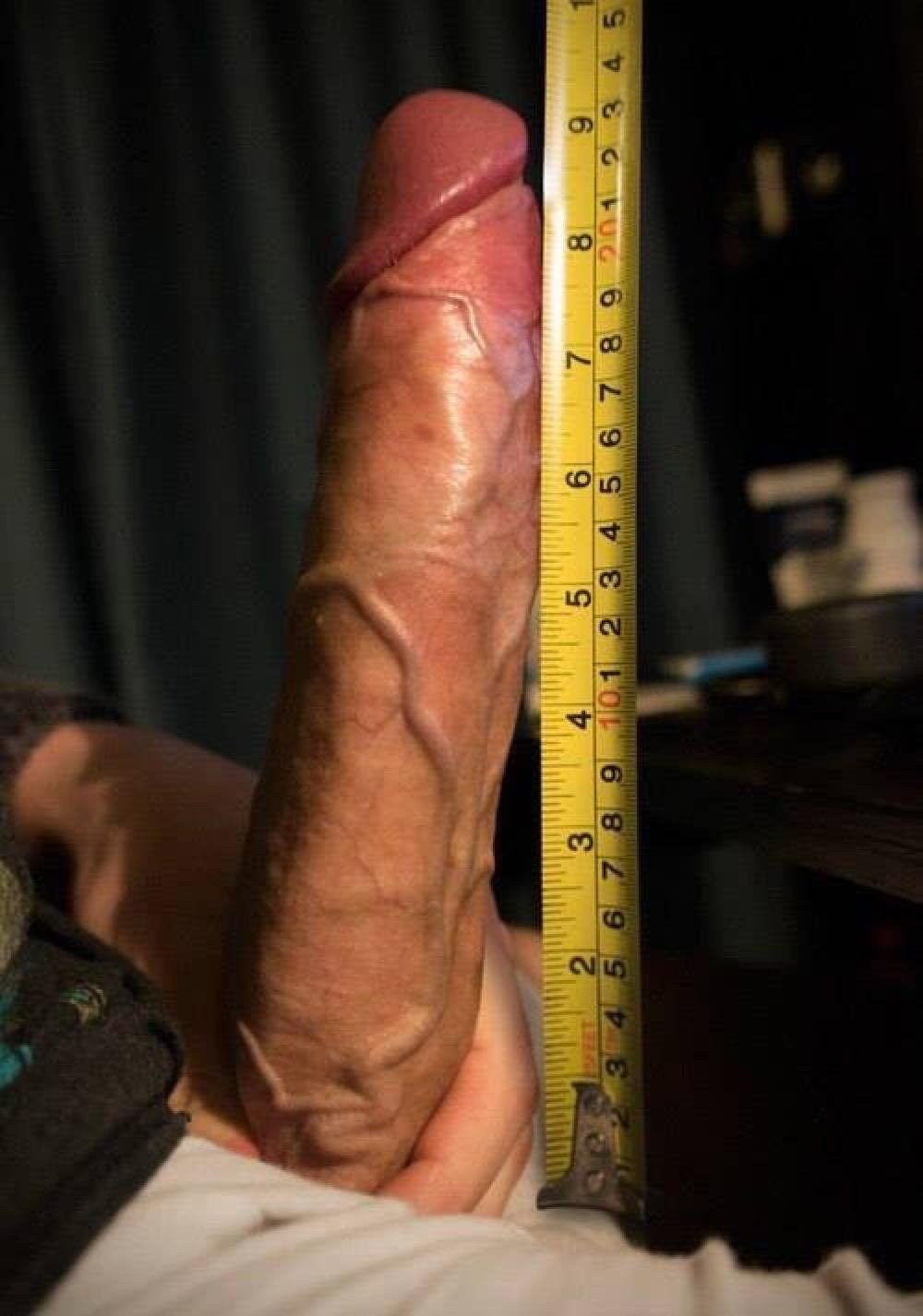 14 inch long penis