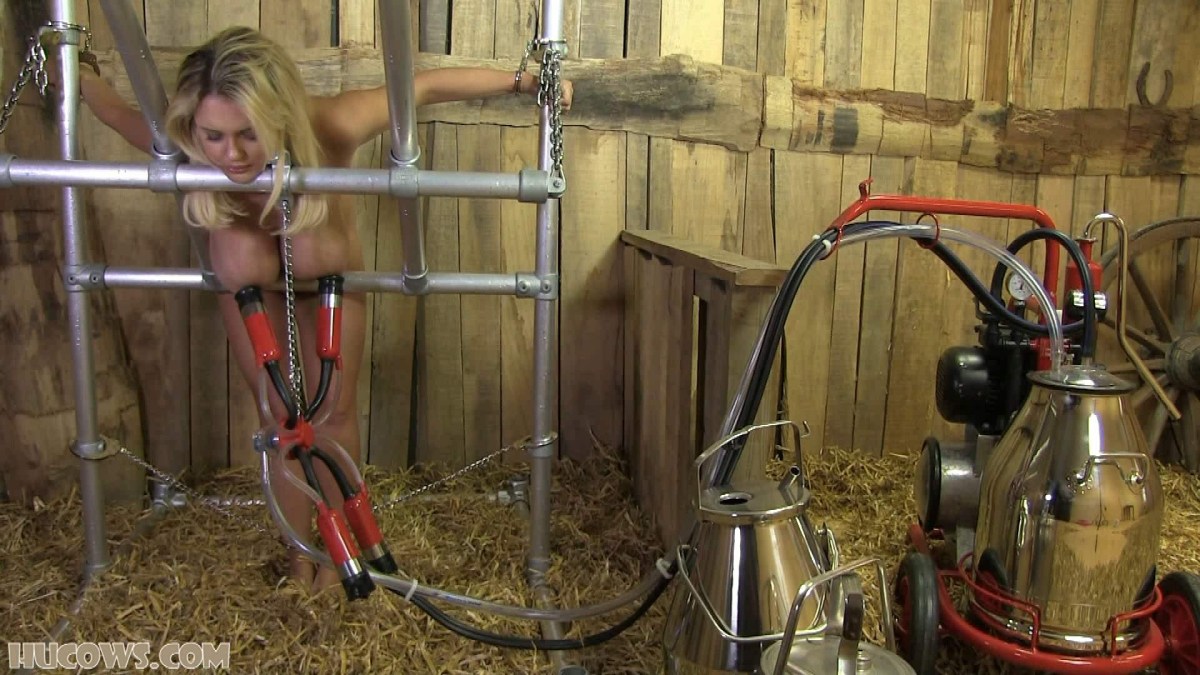 Доильный аппарат для женщин бдсм