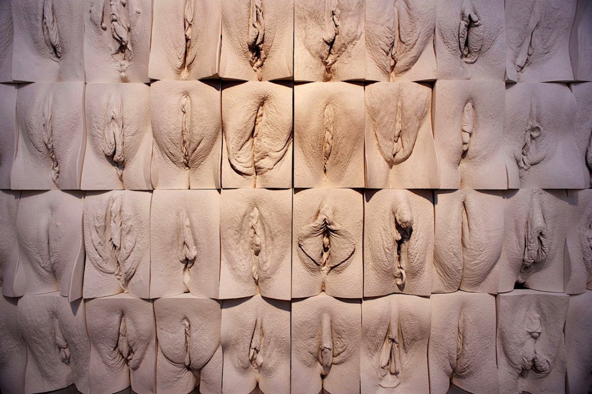 The great Wall of vagina Джейми Маккартни