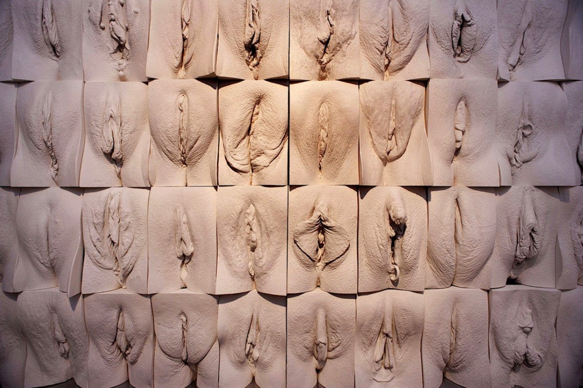 Разные формы женских вагин