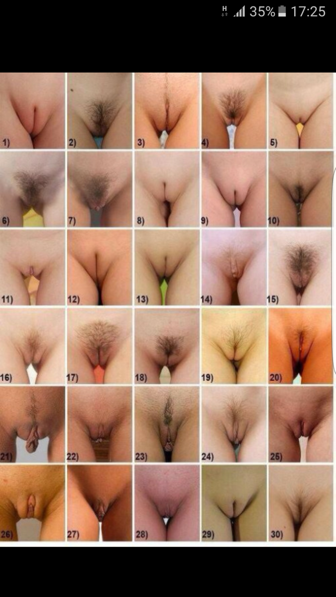 Какие бывают женские киски