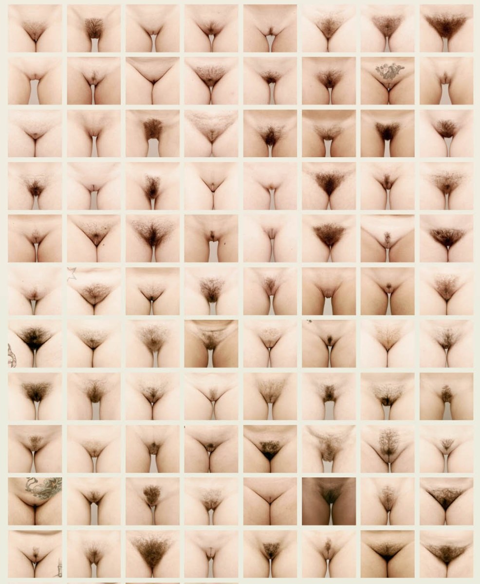 Different Types Of Vagina Pics