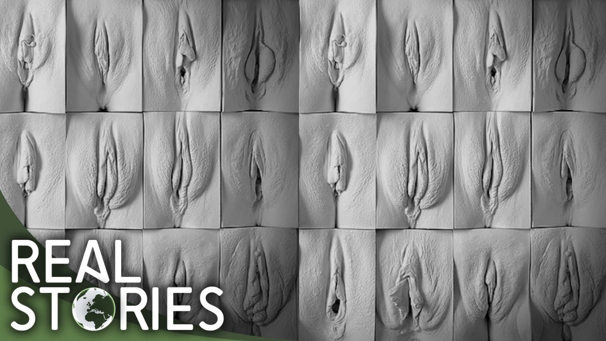 Красивые аккуратные половые губы