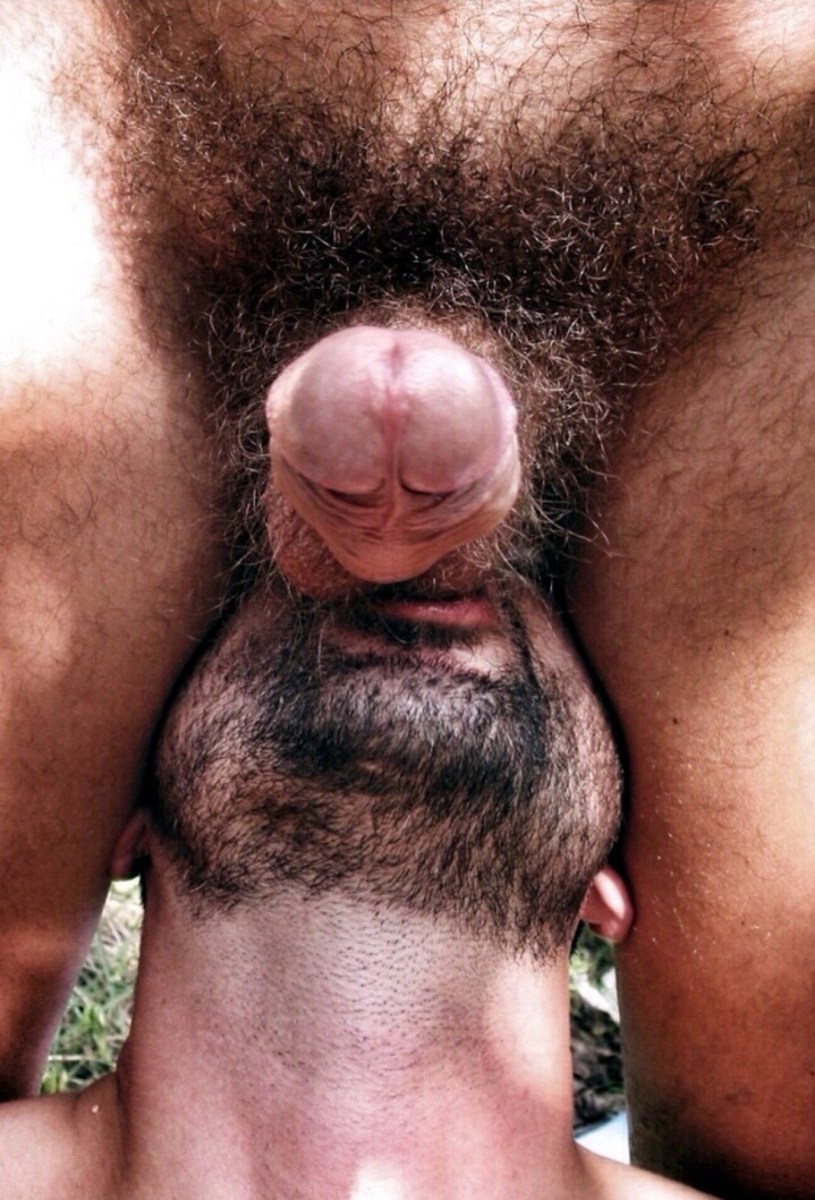 Hairy Cock Pics