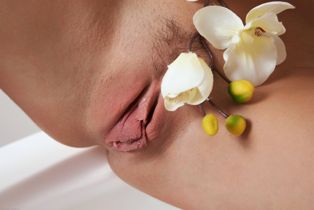 Вагина тюльпан девушка