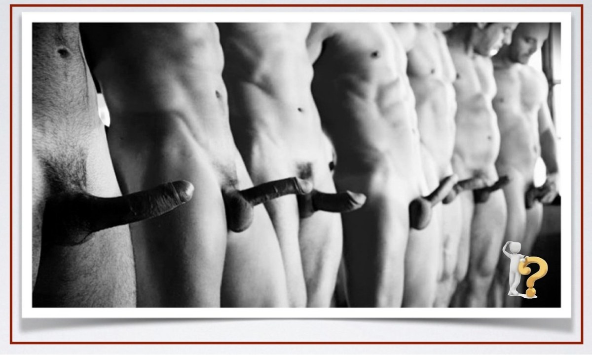 Много красивых мужских членов