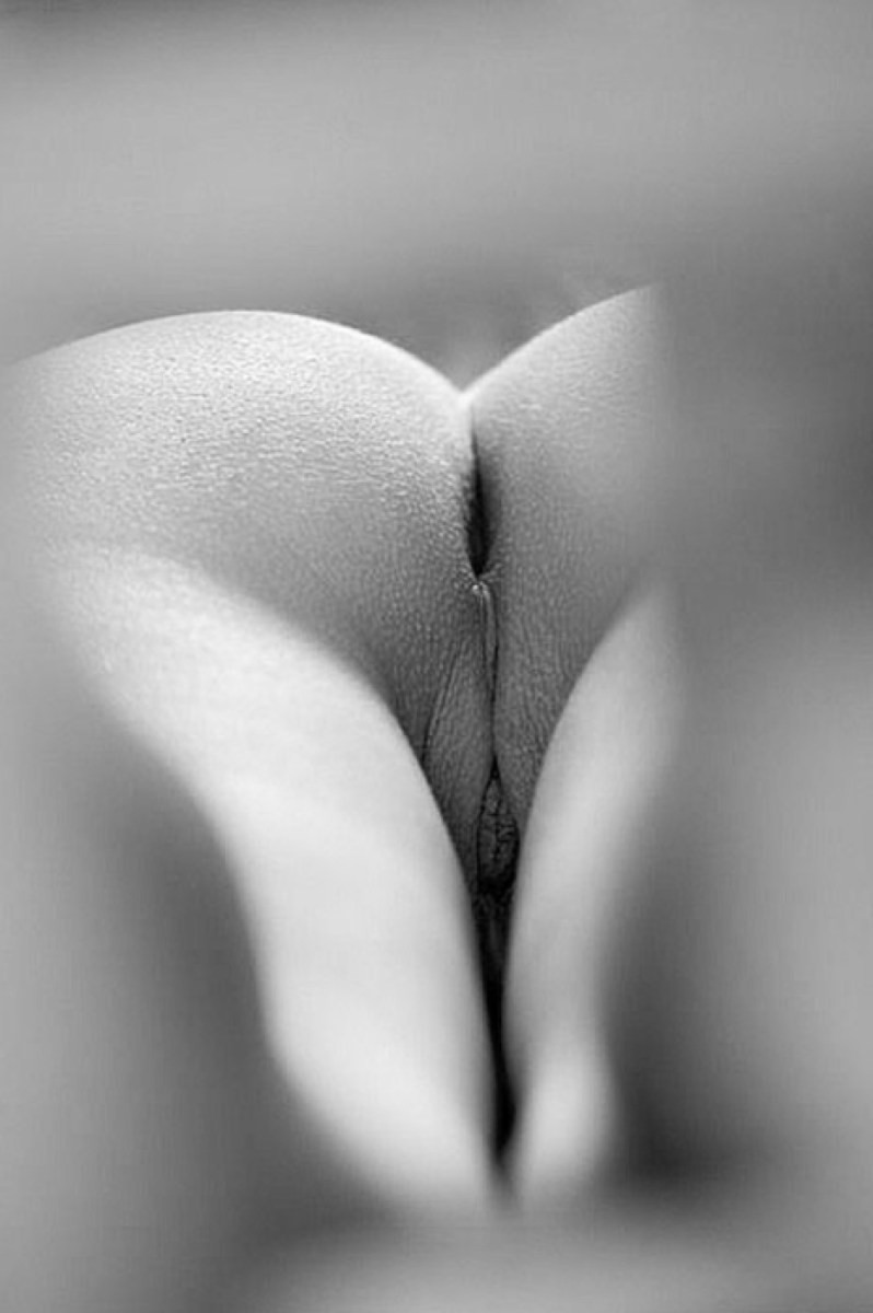 Красивые влагалища черно белое