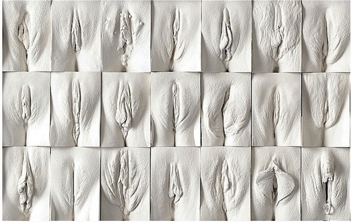 Формы женских влагалищ с названиями