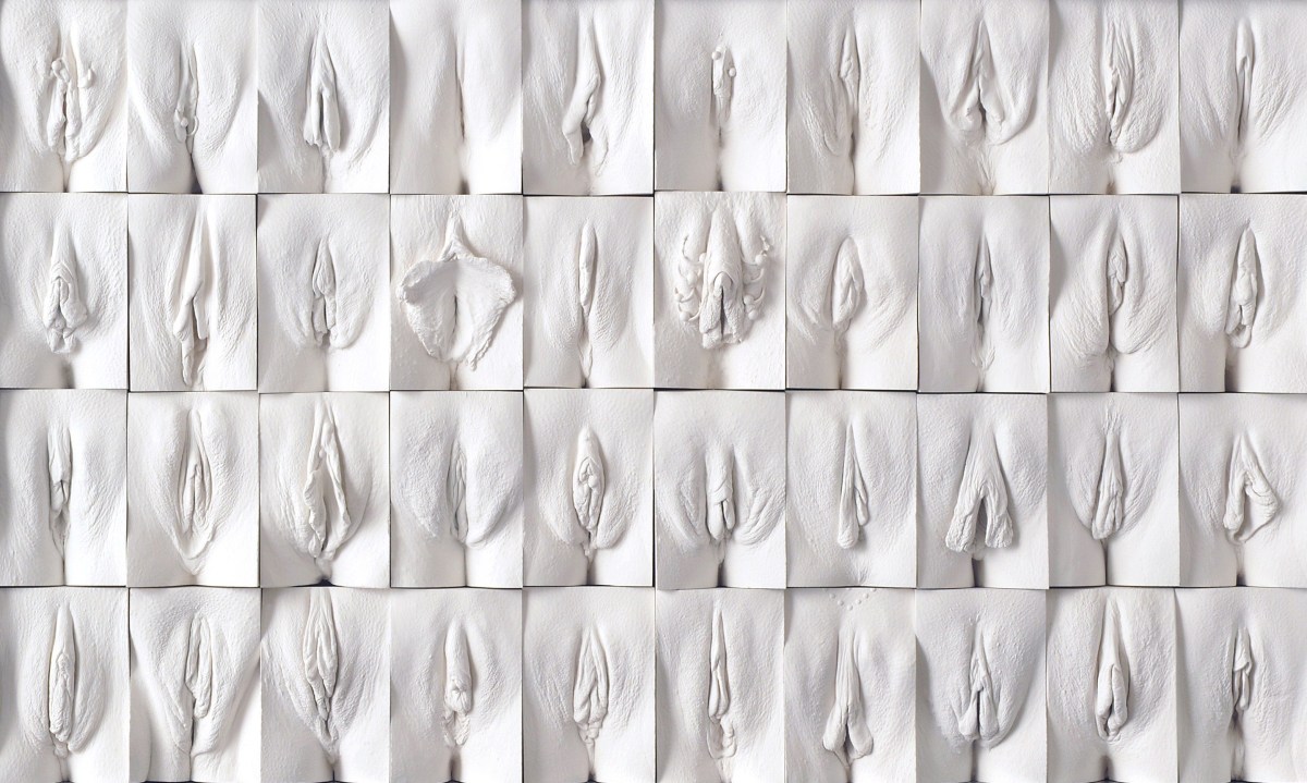 Разновидности влагалищ