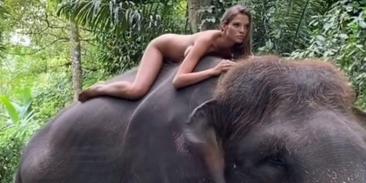 Алеся Селина