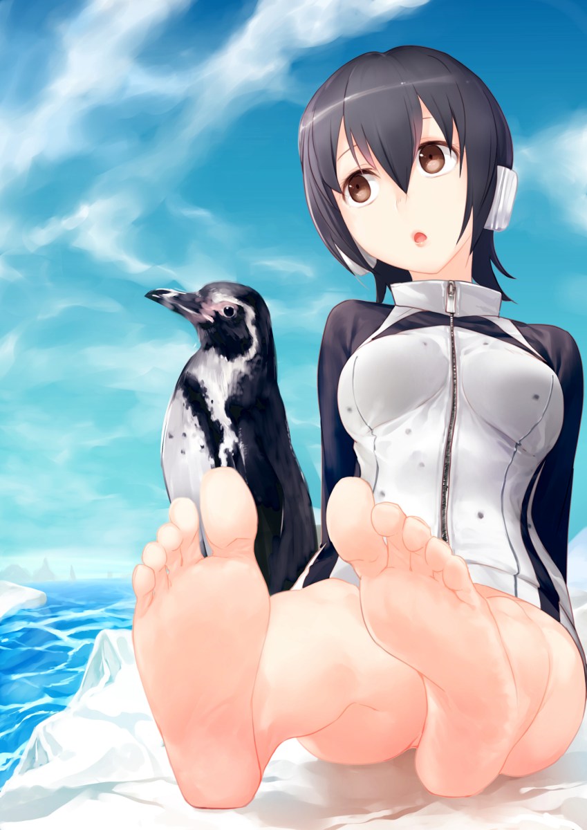 Kemono friends Пингвин