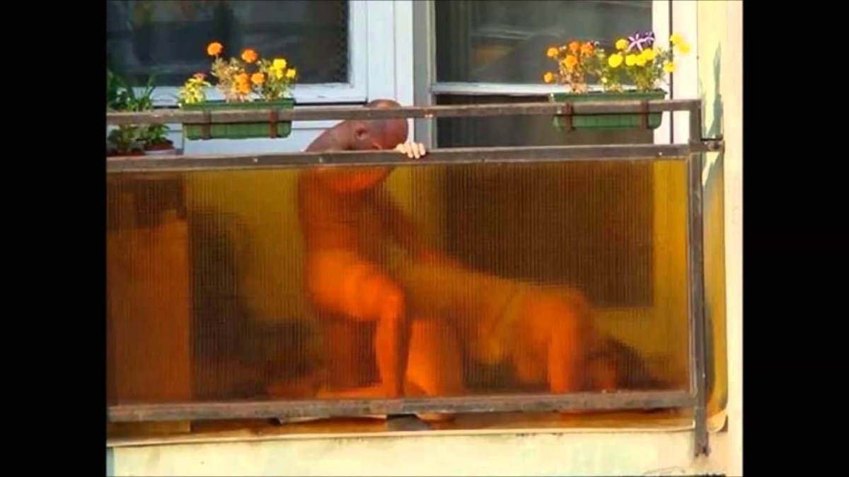 Кристал Бойд, Анжелика Эбби xxx