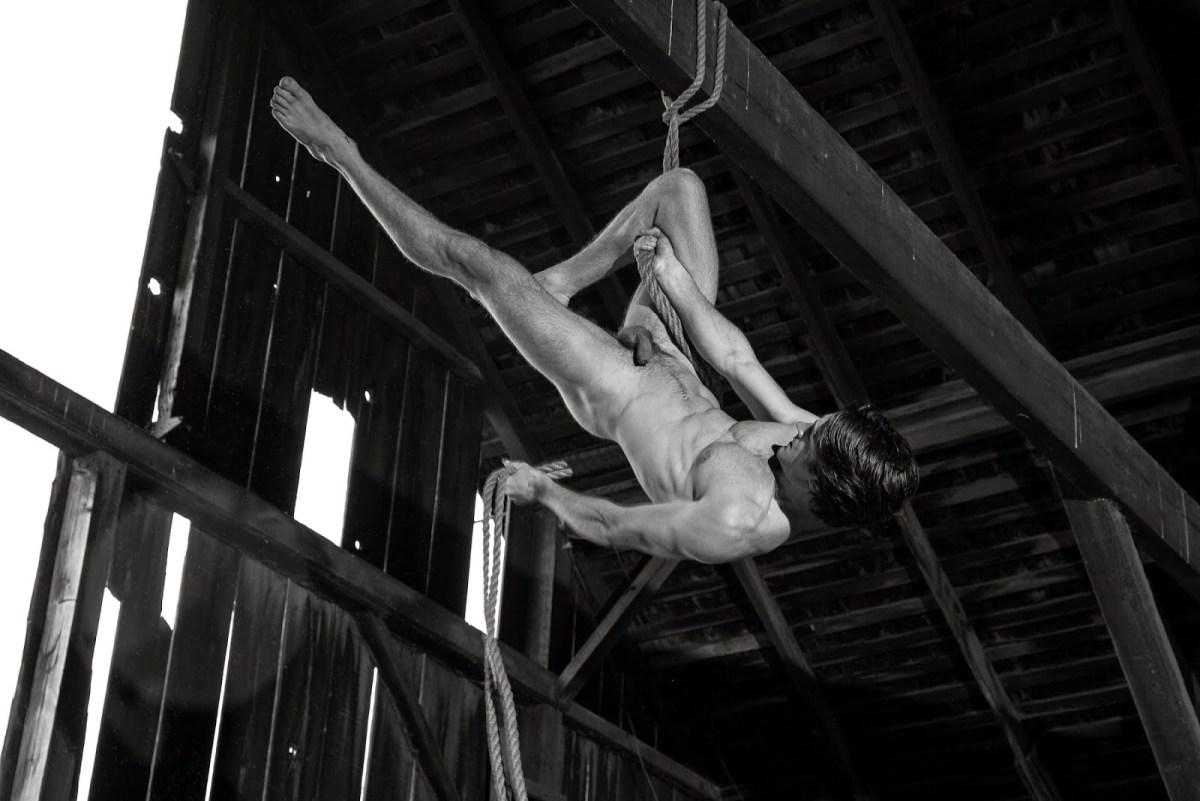 Порнографический цирк